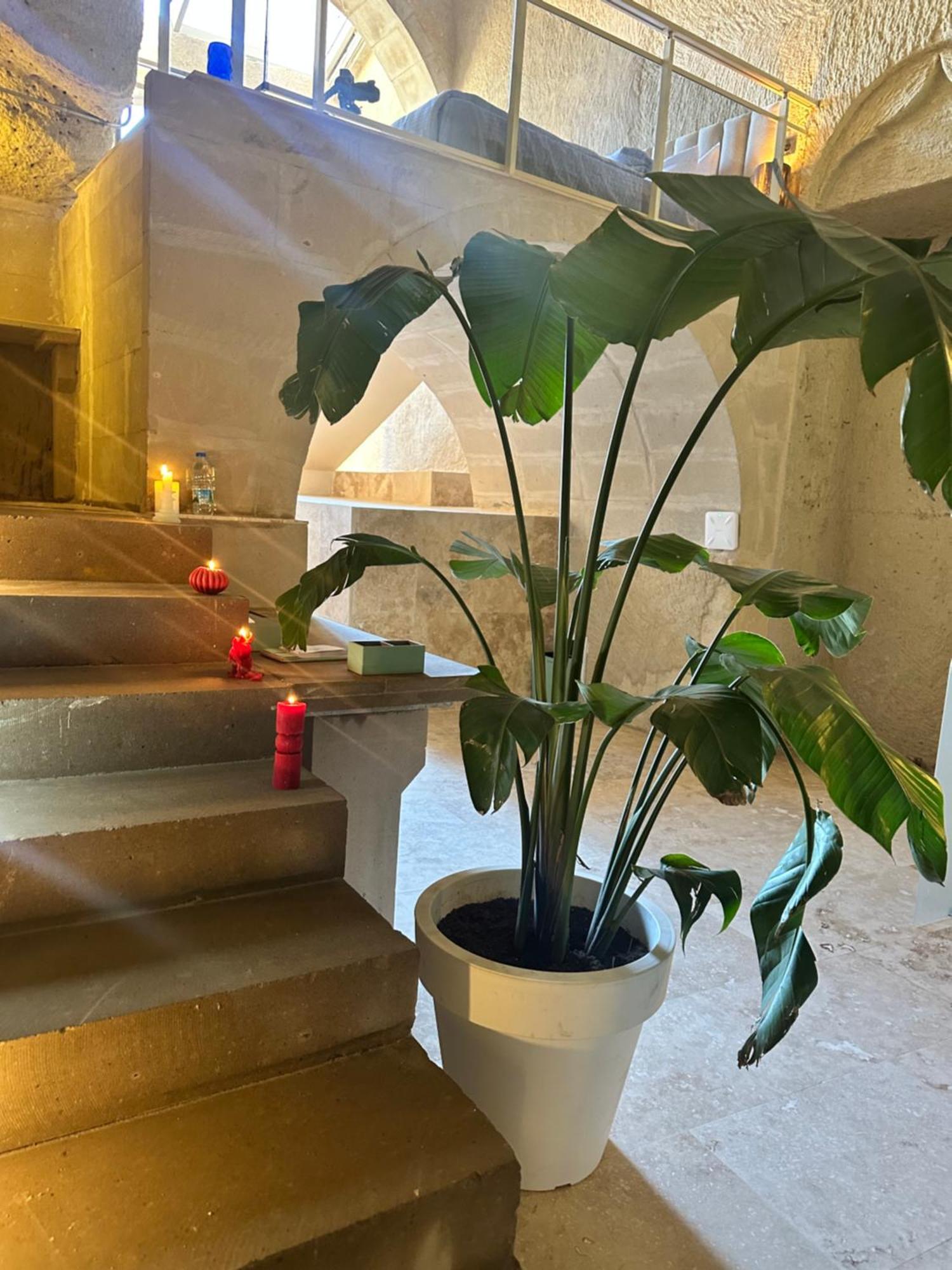 Be Still Alexa Smart Luxury Escape Adults Only Nevsehir Exteriér fotografie
